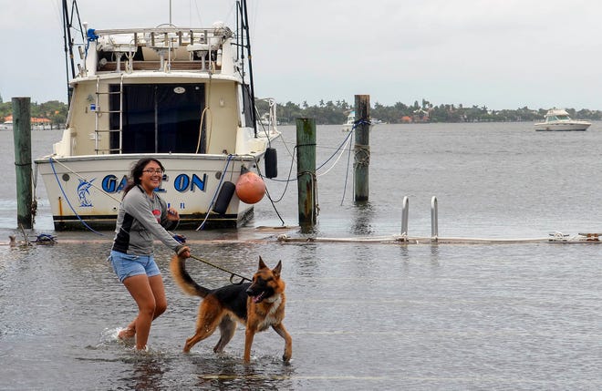 Jessica Perez and her dog Shadow make their way through a flooded Lantana parking lot on Monday, Sept. 2, 2019. King tides caused the floods, adding a layer of difficulty to coastal areas of Palm Beach County as Hurricane Dorian approached. [BAILEY LEFEVER/palmbeachpost.com]