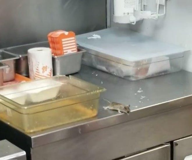 A rodent seen at a Whataburger in Bastrop was shown in a video jumping into a fryer as employees attempted to capture it. [Video courtesy Brushawn Lewis via Facebook]