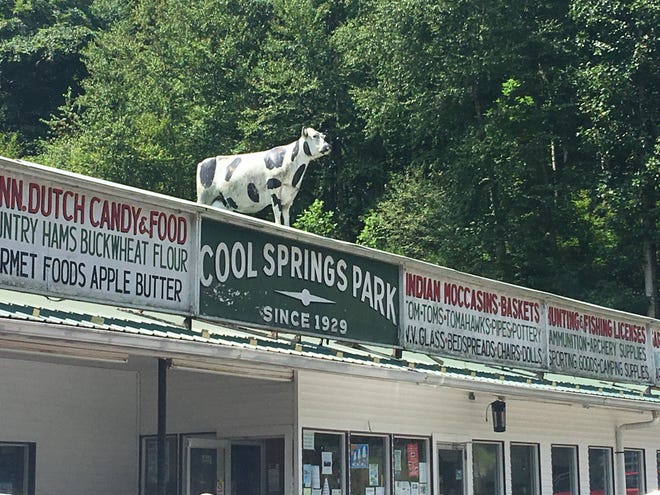 The cow atop the general store fits the surreal atmosphere of Cool Springs Park near Rowlesburg, West Virginia. [Steve Stephens]