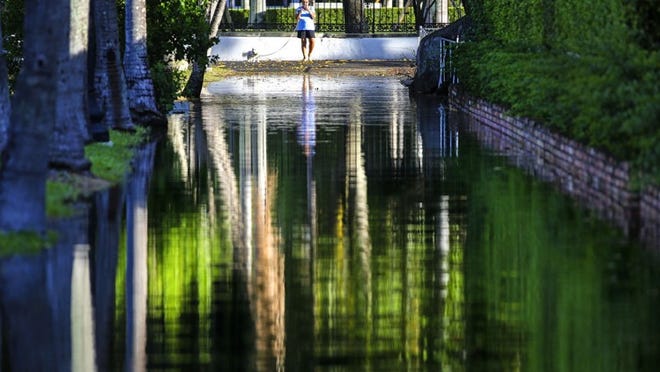 A woman with her dog pauses to take a photo of the flooded Lake Trail by the Flagler Museum in Palm Beach in October 2015 after water rushed in from the Intracoastal Waterway. A combination of the full moon, high tide and sea-level rise are blamed for the flooding. (Lannis Waters / The Palm Beach Post)