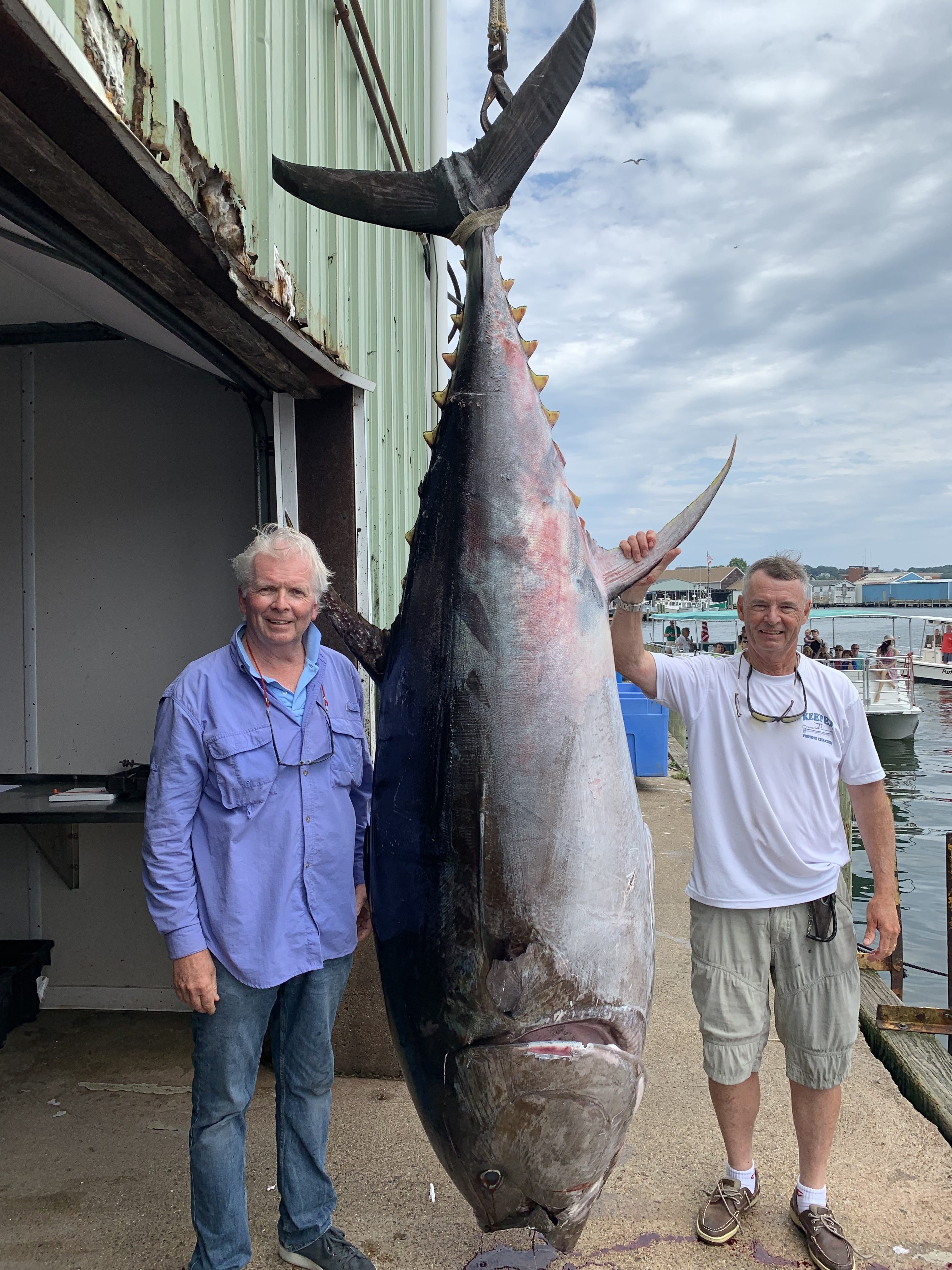 local-fisherman-has-one-big-fish-tale-to-tell