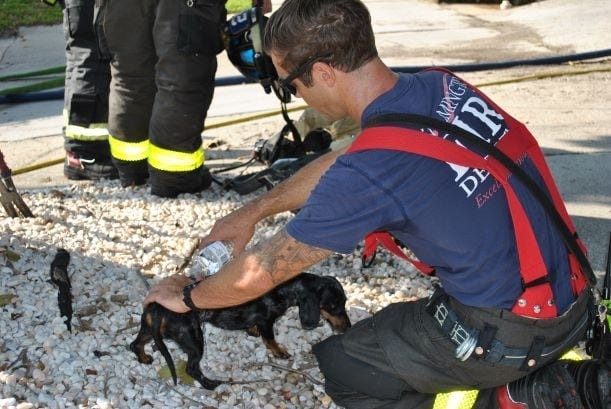 The Wilmington Fire Department rescued this dog from a residential fire on South 13th Street Thursday morning. [FACEBOOK PHOTO]