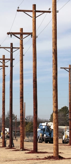 Tall, wooden utility poles were once towering trees. [THE OKLAHOMAN ARCHIVES]