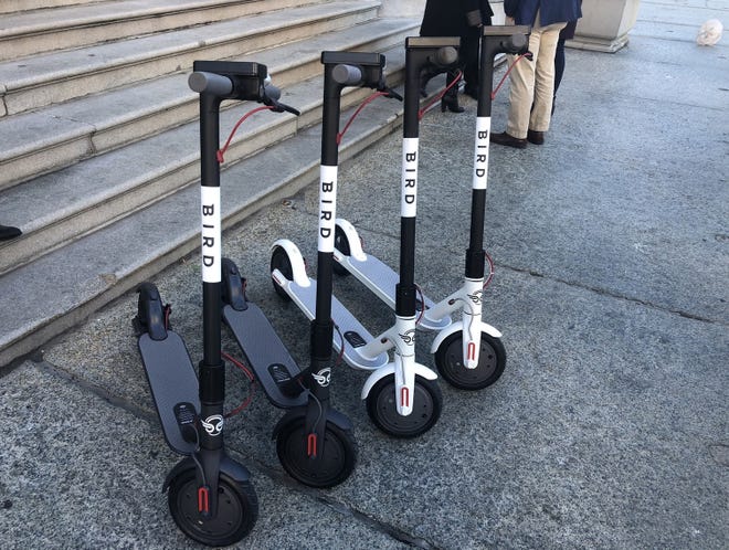 Bird scooters outside Providence City Hall. [The Providence Journal / Kevin Andrade]