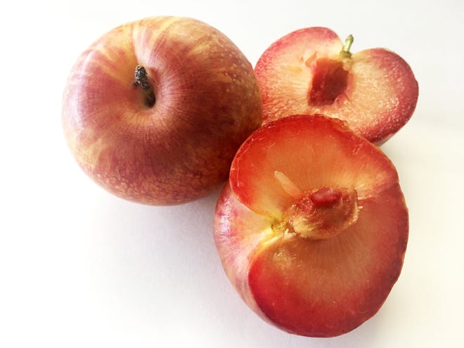This is a pluot, a cross between an apricot and a plum. It's sweet and tangy. [JENNIE GEISLER/ERIE TIMES-NEWS]