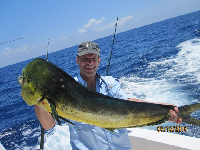 The dolphin are definitely biting off of Jupiter and Boynton Beach. Look for frigate birds and maybe get lucky like Stephen Franklin did with this bull a few years back. [CONTRIBUTED]