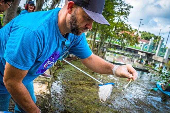 A volunteer pulls a syringe from Lake Eustis during an Aug. 3 shoreline clean-up event at Ferran Park in Eustis. [Facebook/Lake CleanUp]