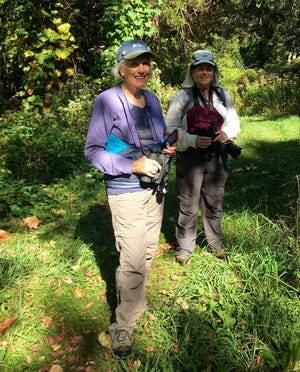 Sally Avery, left, of Cohasset leads a bird watching walk at Turkey Hill in Hingham for the South Shore Bird Club. Cynthia, of Weymouth, on the right, comes equipped with a camera to take close-up photos of some of the 29 species sighted.