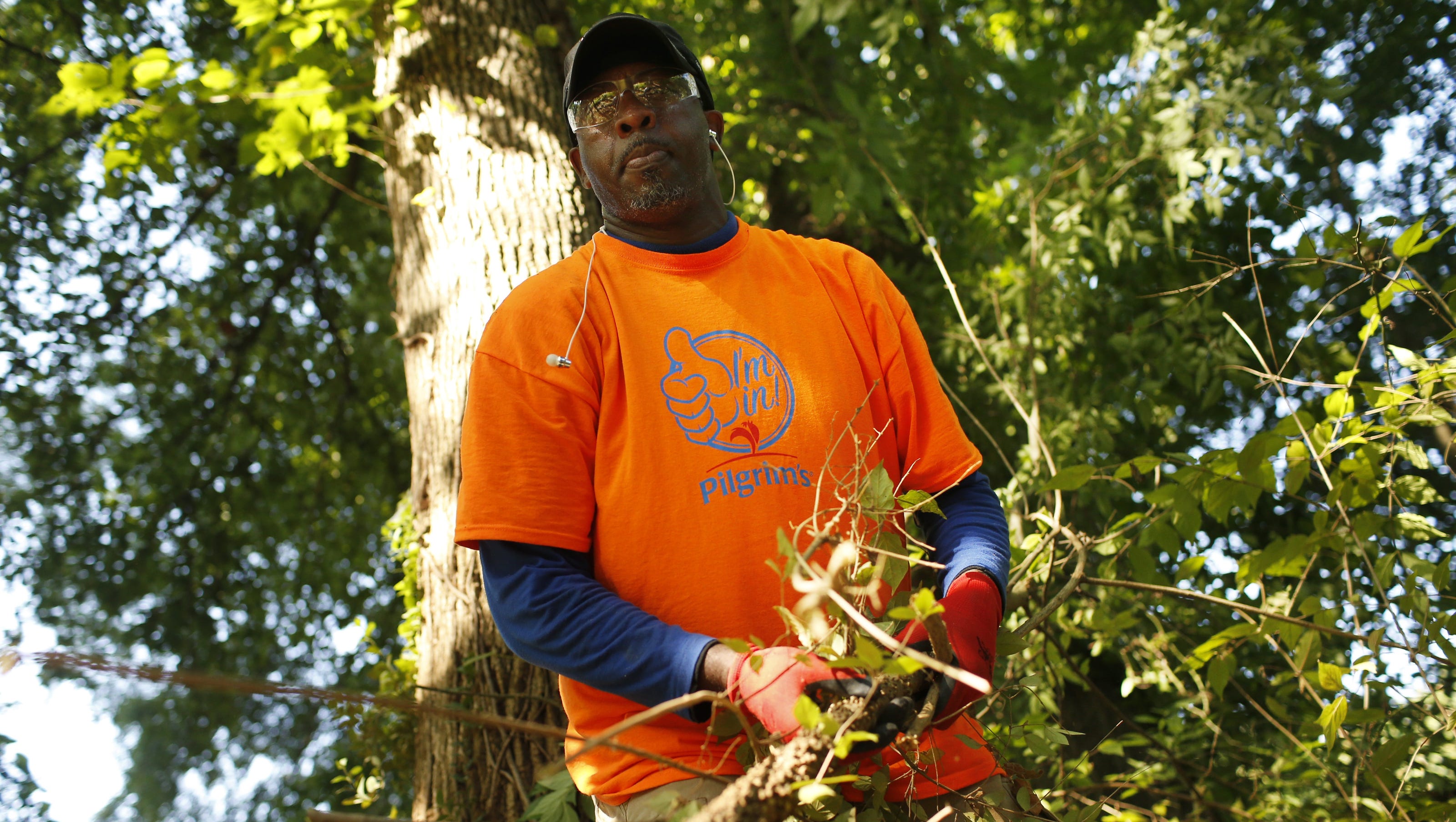 Invasive plants crowding out Georgia plants, wildlife