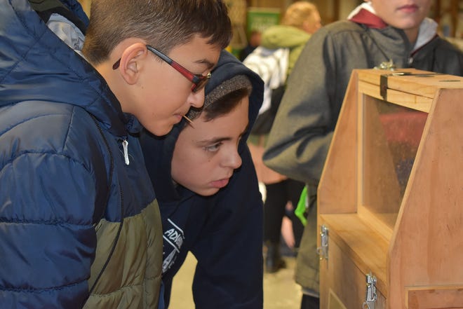Westmoreland seventh-graders James Gleason, left, and Andrew Holzhauer, right, look at a beehive from Ford’s Honey Farm during the third annual Farming Your Future at the Herkimer County Fairgrounds Friday. [PHOTO COURTESY HERKIMER COUNTY BOCES]
