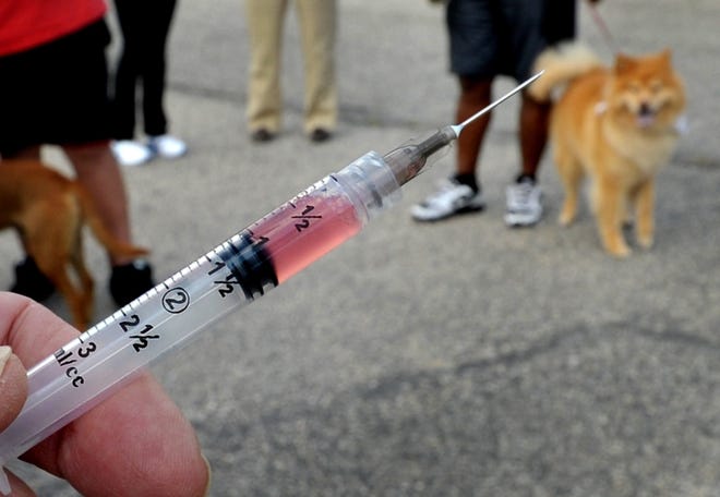 A rabies vaccination clinic will be held Saturday at the Cumberland County Health Department. [Cindy Burnham/The Fayetteville Observer]