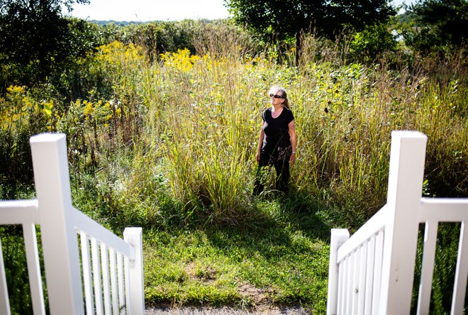 A few steps from front porch of the home Tracy Evans and her husband, Andrezej Bartke, will take you into prairie grasses and native Illinois plants that serve a different purpose than a traditional front yard as she and her husband created the area to do their part in stabilizing pollinators such as bees and butterflies, but also other insects that feed birds. Evans emphasizes that people don't have to plant on the same scale that she and her husband have, but if people want to participate even on a small scale, they do can get native plants from the Illinois Native Plant Society and Lincoln Memorial Garden. [Justin L. Fowler/The State Journal-Register]