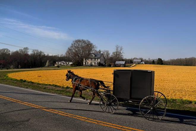 An Amish buggy in Mechanicsville, Md., where some Amish and Mennonite families from Lancaster, Pa., moved in the 1930s. MUST CREDIT: Washington Post photo by Michael S. Williamson.