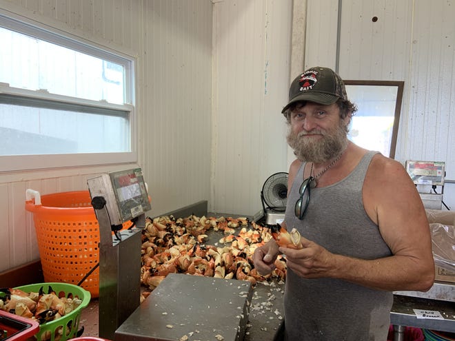 Danny Barrett, 54, has been sorting stone crabs in Cortez for the last 18 years. He is hoping to stay busy this season, as last year's haul was negatively affected by red tide. [Herald-Tribune photo / Chris Anderson]