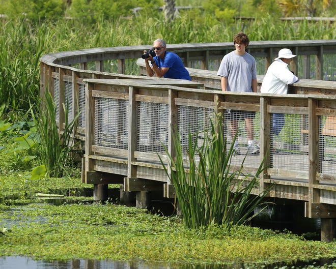Visitors walk along the boardwalk and do some bird watching at Sweetwater Wetlands Park in Gainesville.  [FILE PHOTO SPECIAL TO THE GUARDIAN]
