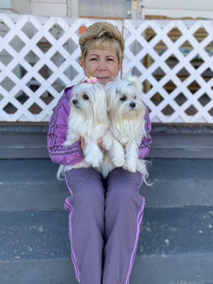 Ronalyn Parsons of Ellwood City with her pet Maltese dogs. She runs Snuggly Critters Pet Service, a pet sitting business. [Submitted]