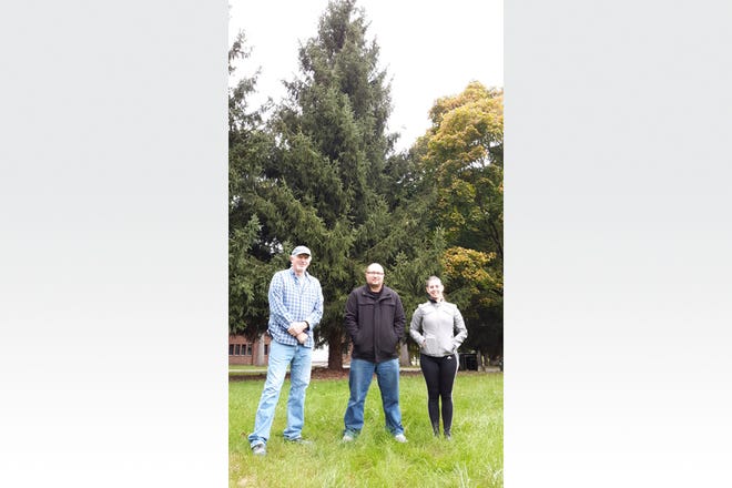 PlaneWave Instruments representatives, from left, Joe Haberman, Kevin Iott and Bridget Beauch are pictured Wednesday by the pine tree PlaneWave is donating from its campus in Adrian to be used as the 2019 Adrian/Lenawee County Christmas tree.