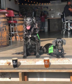 The dog-friendly Fido Firkin Friday event is a weekly benefit this fall for local dog rescue groups. [Contributed by Circle Brewing]