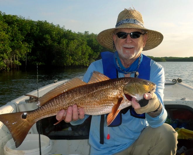 Chris Williams of Lakeland shows off a 30-inch redfish he caught on a live shrimp in the Peace River near Punta Gorda recently. [ PROVIDED BY CHRIS WILLIAMS ]