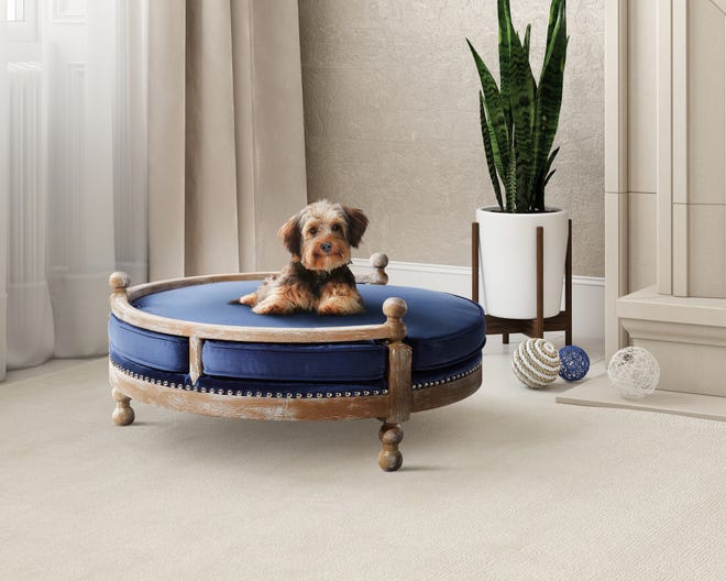 Pottery Barn's Antique Wood Pet Bed. No longer are furniture companies content to offer you staples like a sofa, easy chair and bed. Now they have those items for your pet, too, designed not to clash with the rest of your decor. [Pottery Barn]