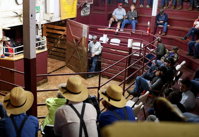 The Carrollton Livestock Auction in eastern Ohio is headed for new ownership. [Julie Vennitti/Canton Repository]