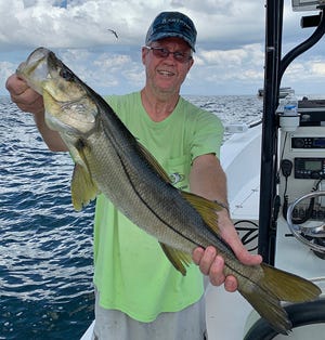 Dave Sauriol of Gatlinburg, Tennessee caught this 31-inch snook on a scaled sardine while fishing with Capt. John Gunter of Off The Hook Charters near the Sunshine Skyway Bridge this week. [ PROVIDED BY CAPT. JOHN GUNTER ]