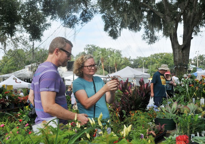 Bob and Amy White, of Mount Dora, browse through houseplants during the first day of the Mount Dora Plant and Garden Fair on Saturday at Donnelly Park. [Tom Benitez/Correspondent]
