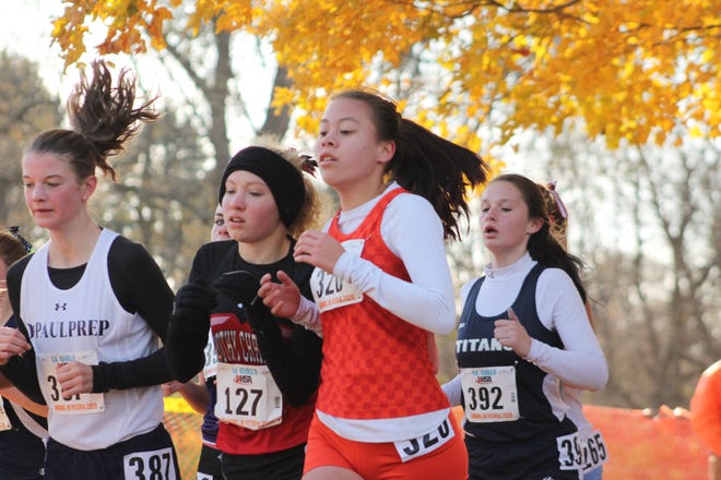 Annawan-Wethersfield's Crystal Musgrave (392, far right) approaches the mile marker of the three-mile Class 1A state cross country meet on Saturday at Detweiller Park in Peoria. [Troy E. Taylor]
