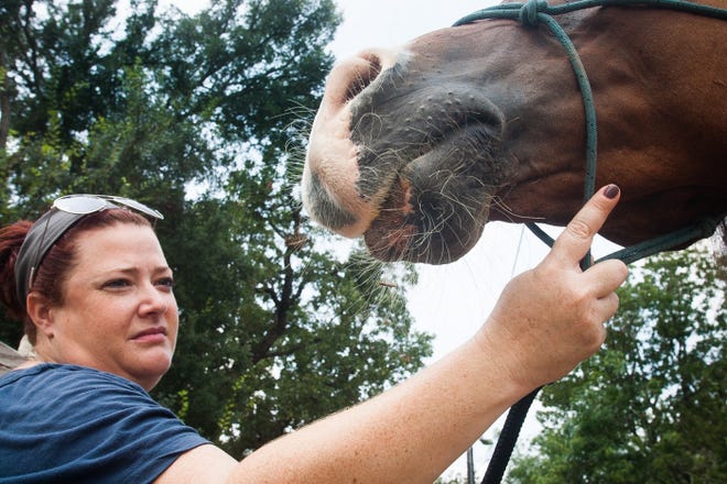 Kameron Fowler, of Bastrop County, holds her horse Daante who showed signs for vesicular stomatitis in 2014. While the virus is not usually fatal, it is highly contagious and horses should be quarantined. [NELL CARROLL/AMERICAN-STATESMAN FILE]