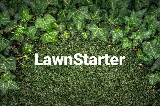 Austin-based lawn care startup Lawnstarter is a marketplace platform that lets lawn care professionals and consumers to schedule lawn mowing and other services. [Courtesy of Lawnstarter]