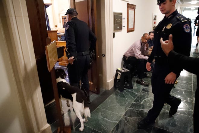 U.S. Capitol Police prepare to check the hearing room where top U.S. diplomat in Ukraine William Taylor, and career Foreign Service officer George Kent, will testify before the House Intelligence Committee on Capitol Hill in Washington, Wednesday, Nov. 13, 2019, during the first public impeachment hearings of President Donald Trump's efforts to tie U.S. aid for Ukraine to investigations of his political opponents. (AP Photo/Alex Brandon)