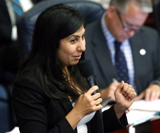 Rep. Anna Eskamani, D-Orlando, expressed a desire to see more legislation get considered. “We’ve had only one Ways and Means Committee so far, and I would argue that’s one of the most important committees in the Florida Legislature,” Eskamani said. [AP Photo / Steve Cannon]