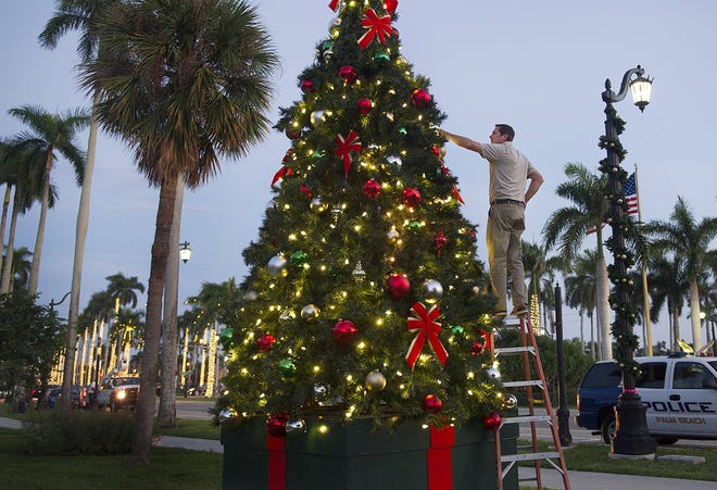 Town of Palm Beach general maintenance supervisor puts the finishing touches on the holiday tree at Bradley Park in November 2018. [Meghan McCarthy/Daily News file photo]