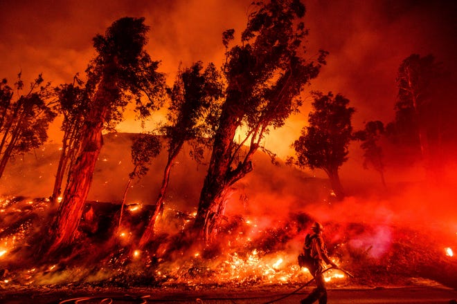 Flames consume a hillside as firefighters battle the Maria Fire in Santa Paula, California, on Nov. 1. [AP Photo/Noah Berger, File]