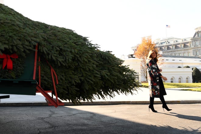 First lady Melania Trump looks over the 2019 White House Christmas tree as it is delivered to the White House in Washington on Monday. The Douglas fir is approximately 23 feet tall and was grown by Larry and Joanne Snyder at Mahantongo Valley Farms in Pennsylvania. Since 1966, the National Christmas Tree Association has held a contest that awards its winner with the honor of presenting their tree to the first family and will serve as a centerpiece for Christmas decorations in the Blue Room of the White House. [SUSAN WALSH/THE ASSOCIATED PRESS]