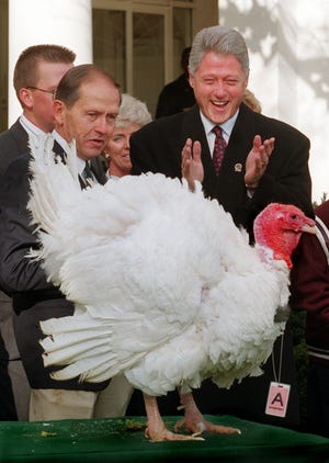 President Clinton, accompanied by Jim Cooper, chairman, National Turkey Federation, laughs while looking at Carl, a 35-pound turkey, wearing a White House visitors pass, which was presented to him at the White House Wednesday Nov. 27, 1996. After the ceremony, the president continued a tradition begun by President Harry Truman 49 years ago by pardoning the turkey and sending it off to life in a Virginia petting farm. (AP Photo/Doug Mills)