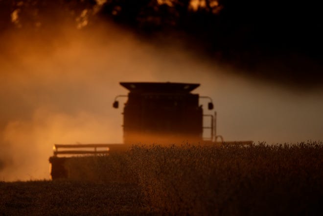 Eldon Sylvester harvest soybeans in his field near Wamego, Kan. on Oct. 19. [Charlie Riedel/The Associated Press]
