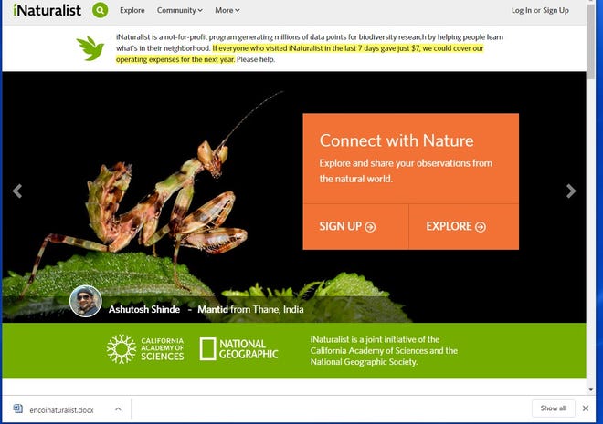 The iNaturalist website at