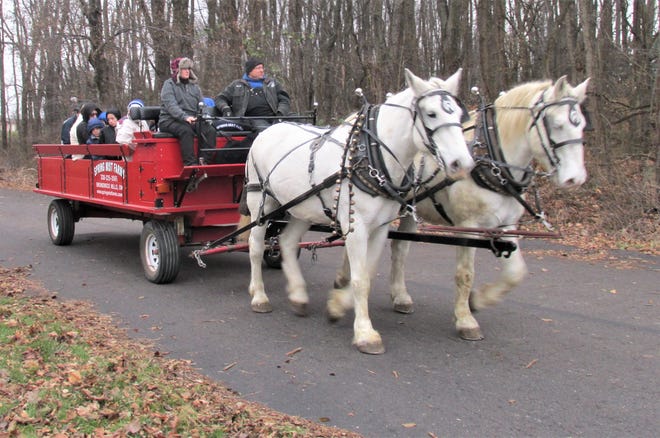 The bells jingled and the riders were laughing all the way as visitors to Wayne College enjoyed a ride around campus on a horse drawn sleigh, provided by Spring Mist Farms of Brunswick Hills, OH.