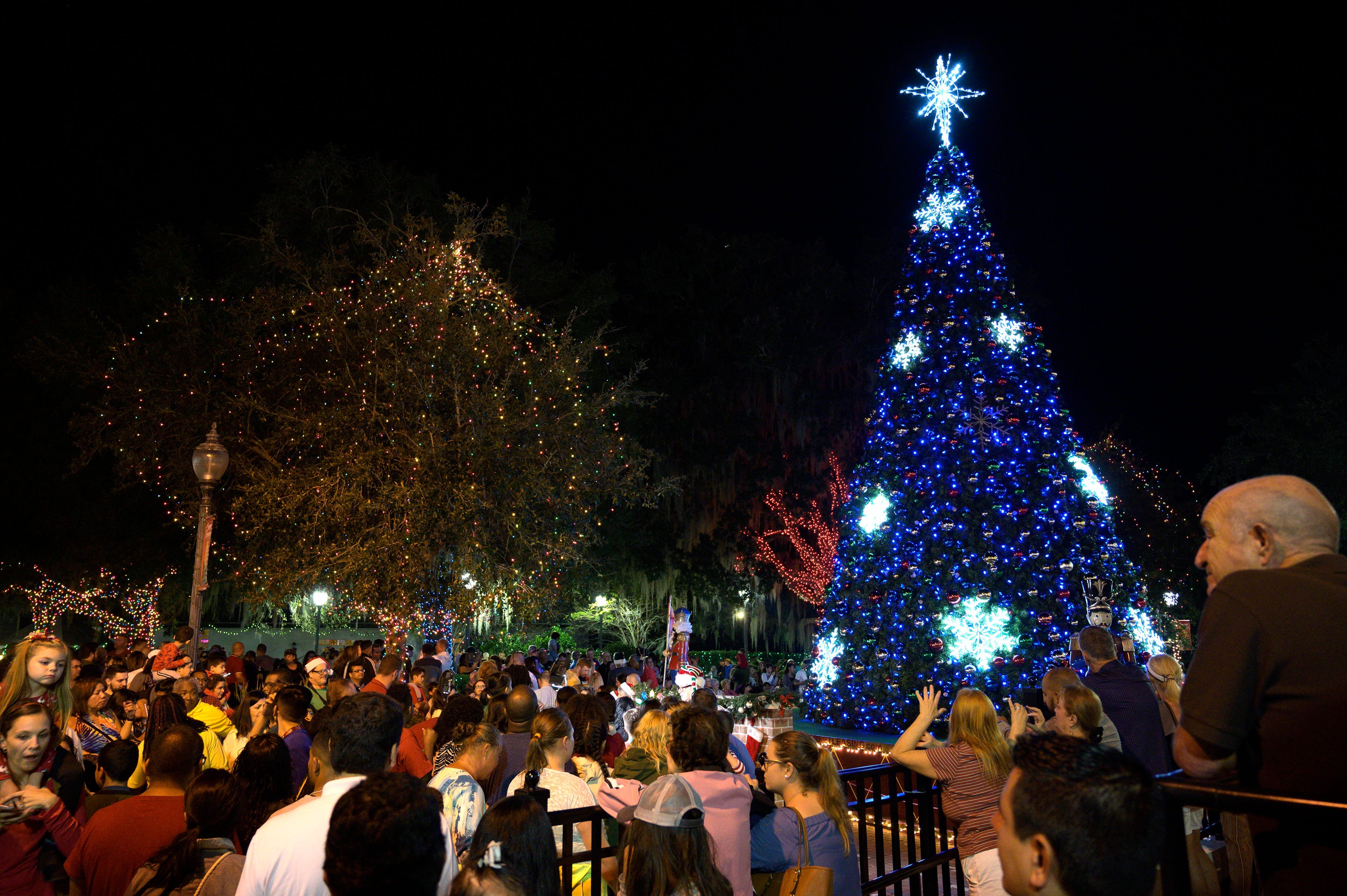 Mount Dora 2022 Christmas Lights Light Up Mount Dora: 2 Million Lights, Thousands Of Spectators