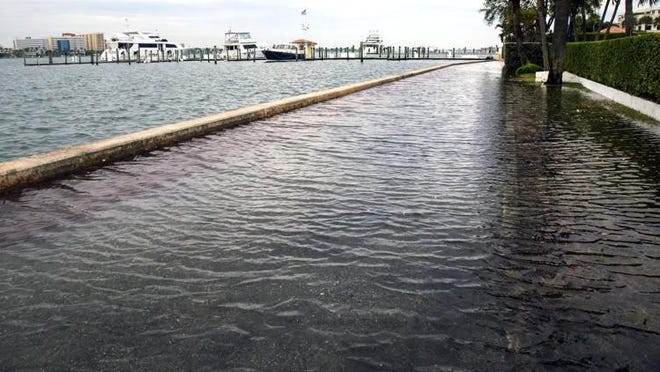 The Lake Trail north of Bradley Park lives up to its name as flooding at high tide caused water to top the seawall in November 2016. (LANNIS WATERS/PALMBEACHDAILYNEWS.COM]