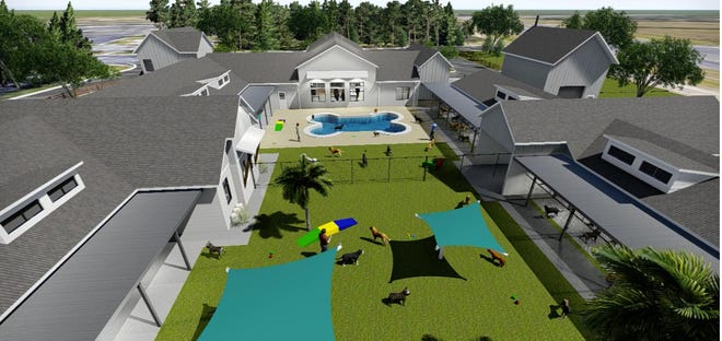 A new Pet Paradise in Oakleaf at 1611 Isaac Way, Middleburg. [Provided for Pet Paradise]