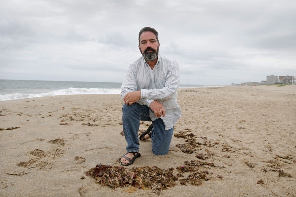Ri Man Fights For Right To Collect Seaweed On Beach Near Homes