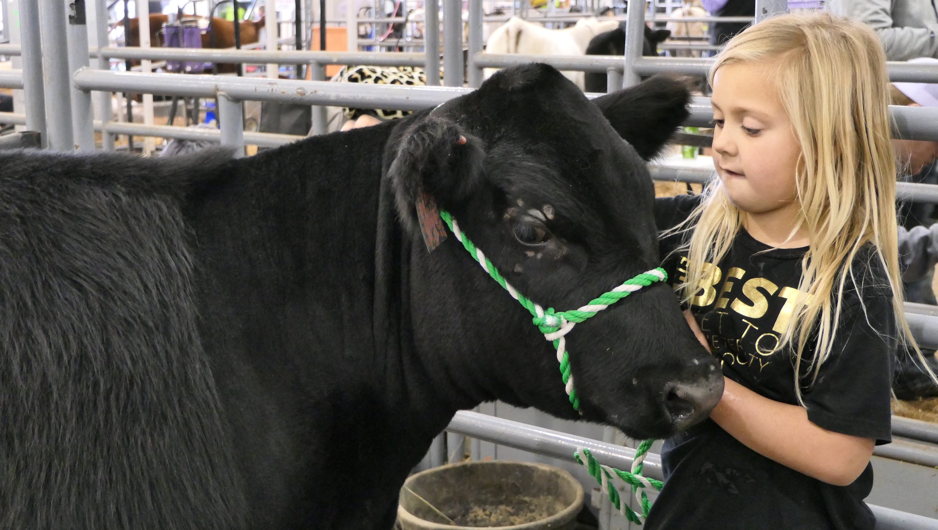 Youths show cows at Kansas Beef Expo