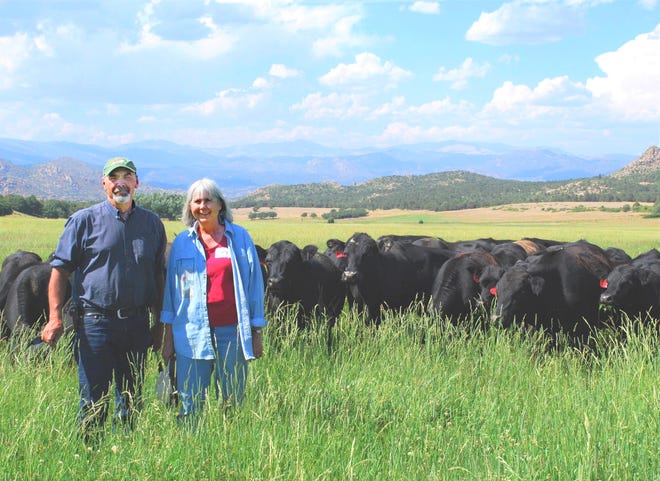 Steve and Nancy-Taylor Oswald raise grass-fed cattle on their ranch in western Fremont County. [COURTESY]
