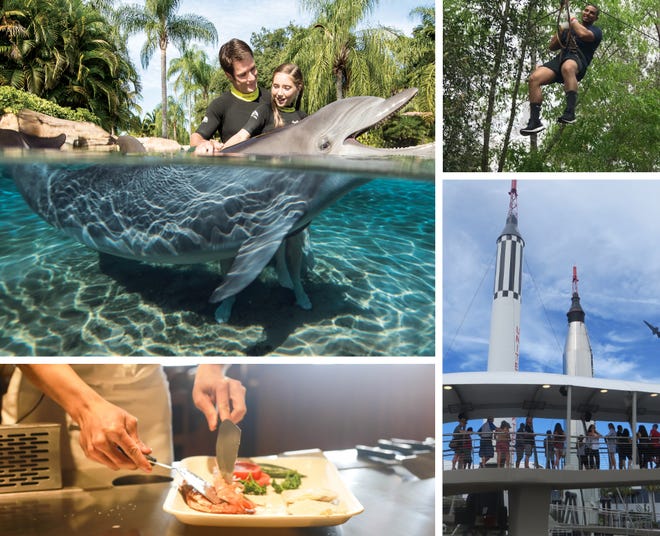 Image credits from top left clockwise: Discovery Cove, Orlando Tree Trek Adventure Park, Eliot Kleinberg/Palm Beach Post, Pixabay