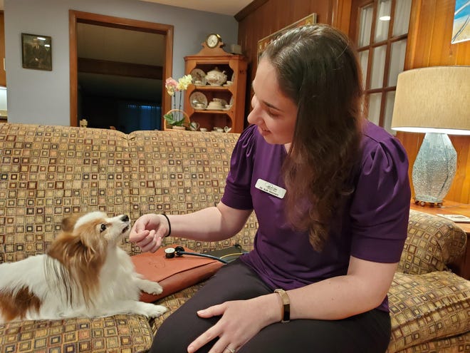 Dr. Kali Jimenez visits with a 13-year-old Papillon named Dinger in the pet’s home. The dog was recently diagnosed with Cushing’s disease which affects the kidneys. [COLLEEN JONES/THE RECORD]