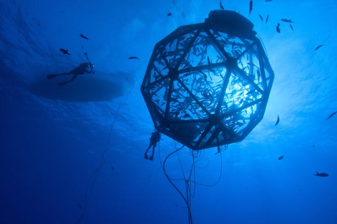 A diver approaches a demonstration of a commercial fishing net pen by Kampachi Farms in Kona, Hawaii. The company seeks a federal permit so it can also conduct a demonstration of the technology in the Gulf of Mexico about 45 miles southwest of Sarasota. [Courtesy photo / Kampachi Farms, Rick Decker]