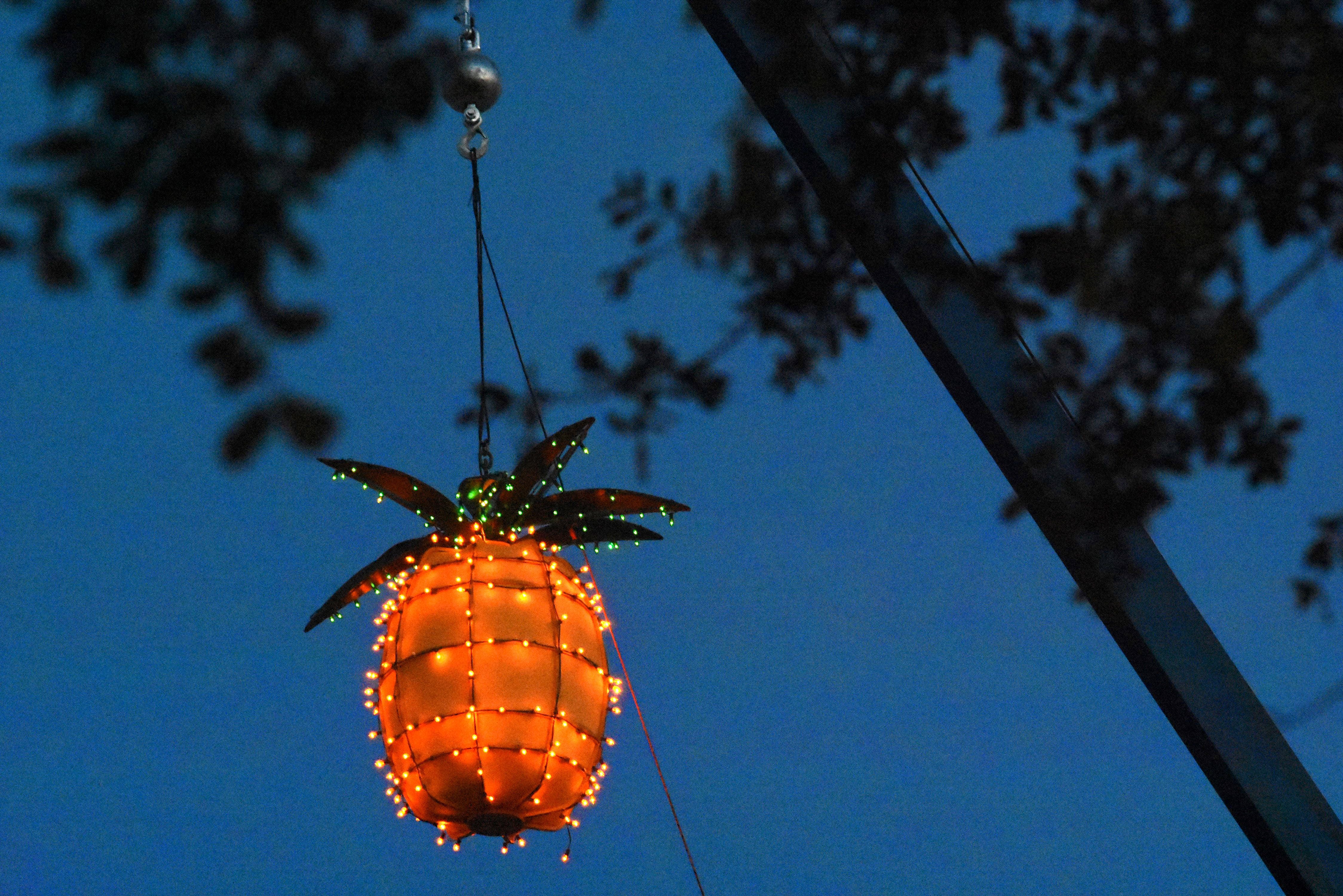 21 best New Year’s Eve events in SarasotaBradentonVenicePunta Gorda