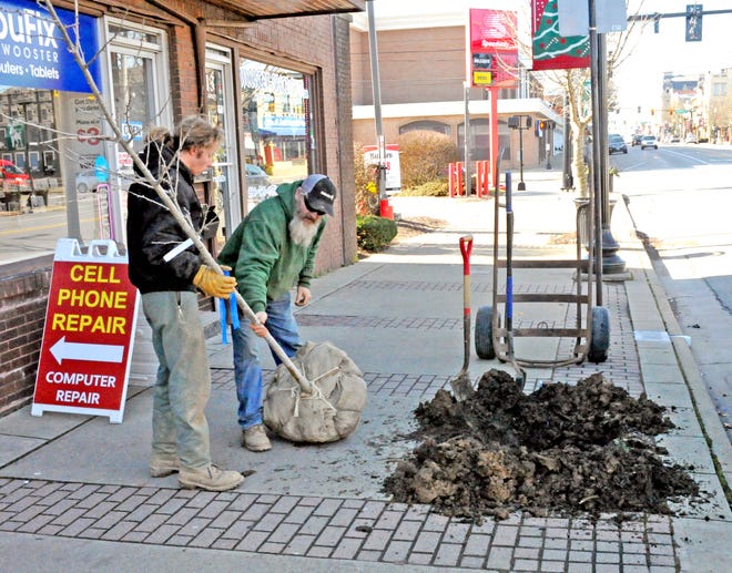 Alex Rowe and Jason Barber of Davey Tree are busy Monday planting trees along Liberty Street in downtown Wooster.
